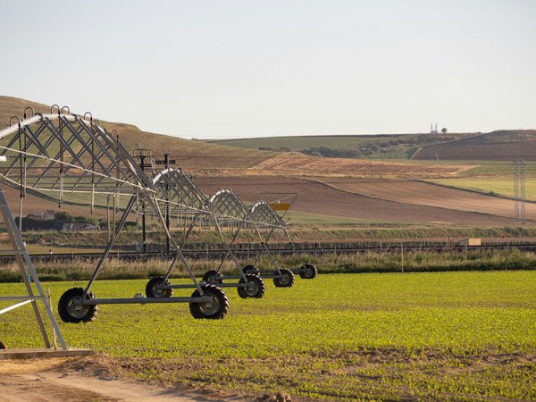 Come realizzare un sistema di irrigazione a goccia personalizzato per balconi fioriti?