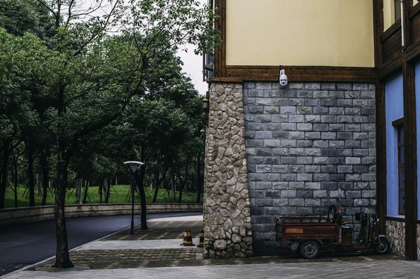 Come creare un angolo lettura naturale sfruttando la luce solare in una veranda?